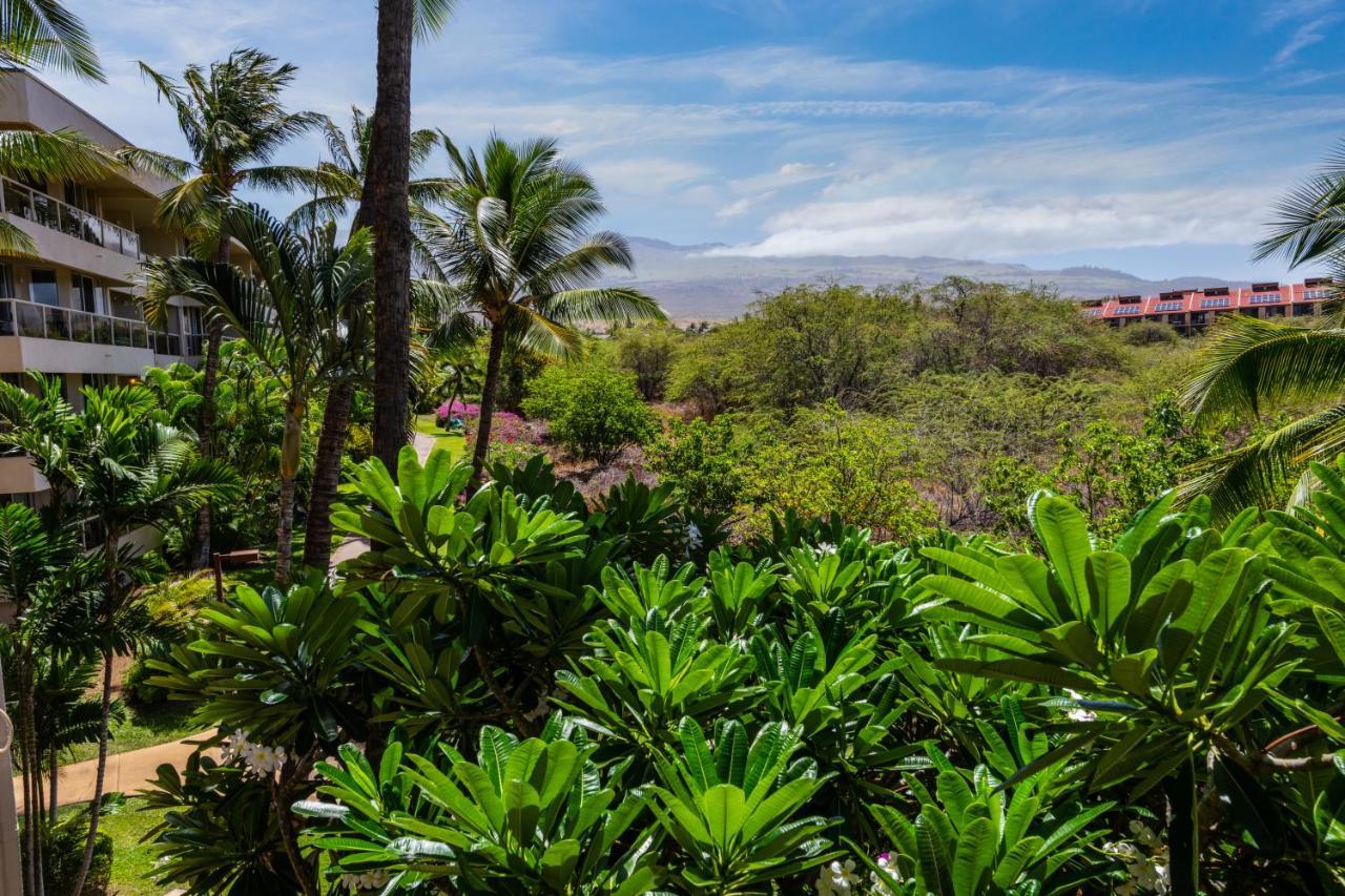 Maui Banyan H311 1Bd 2Ba 3 Min Walk To The Beach In The Heart Of South Kihei! Wailea  Ngoại thất bức ảnh