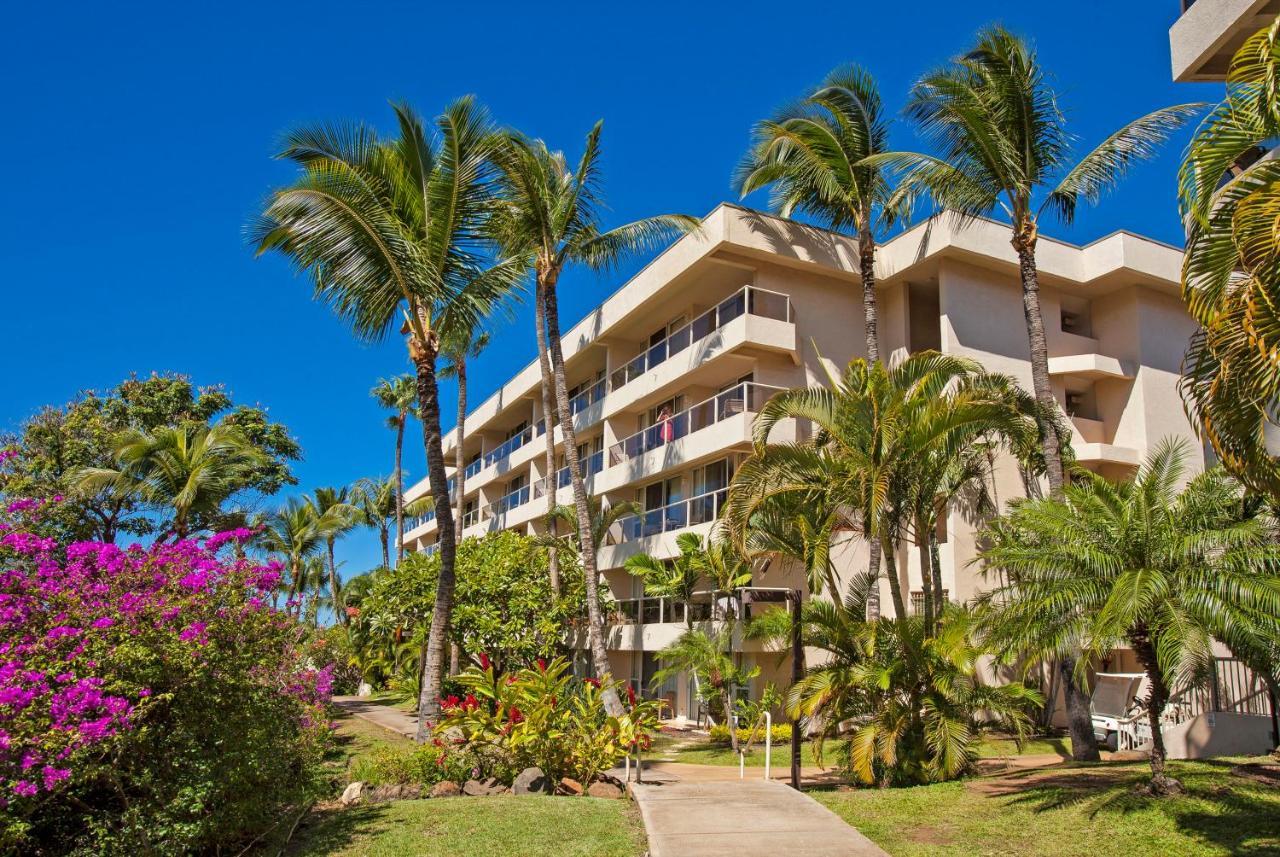 Maui Banyan H311 1Bd 2Ba 3 Min Walk To The Beach In The Heart Of South Kihei! Wailea  Ngoại thất bức ảnh